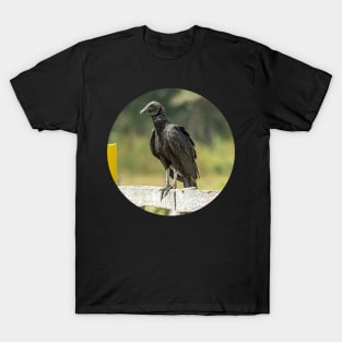 black bird T-Shirt